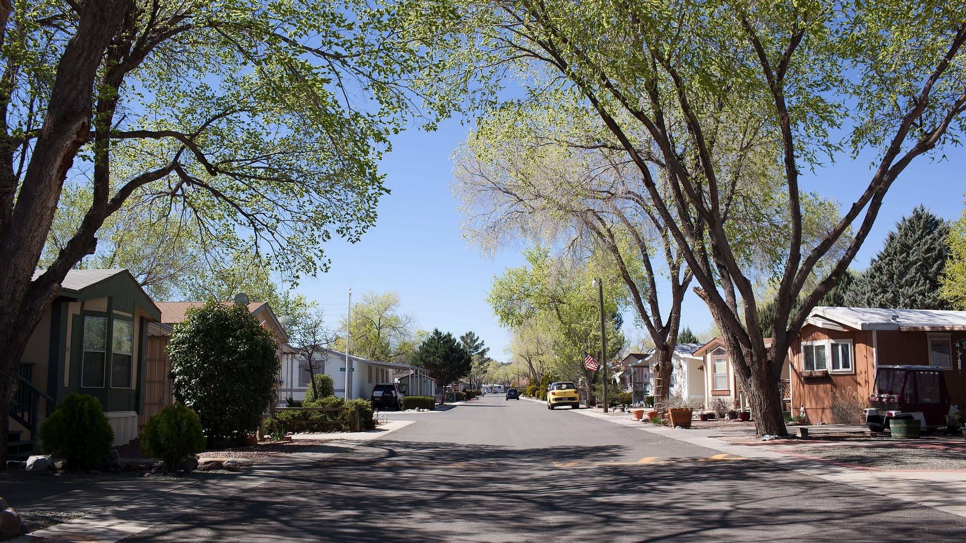 Shaded Streets