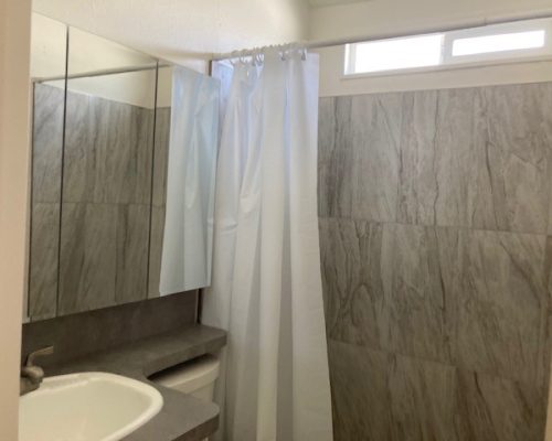 #101 Bathroom walk in shower 1