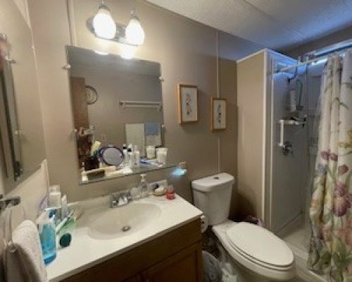 #1113 Master Bath walk in Shower