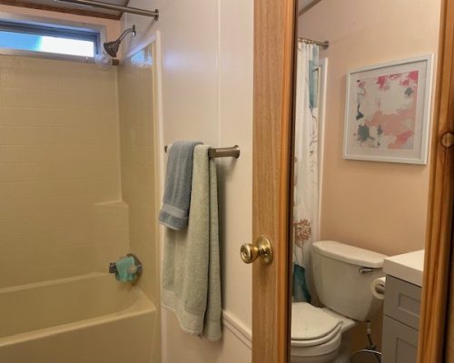 #1131 Guest Bath 1