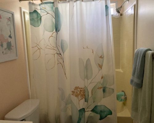 1131-Guest-Bathroom-Shower-over-Tub