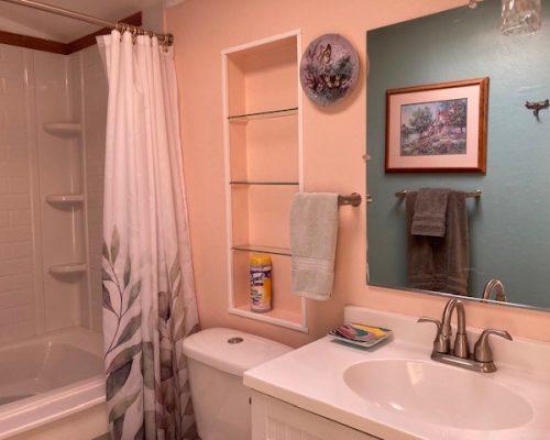 1131-MasterBathroom