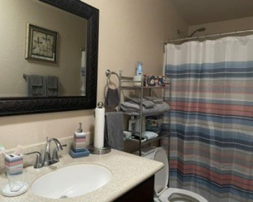 #2156 Guest Bath Shower over Tub