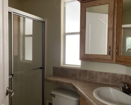 365-Bathroom-step-in-shower-3-door-medicine-cabinet