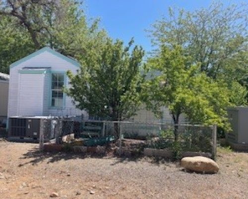 #85 Fenced in Back yard with fruit trees.